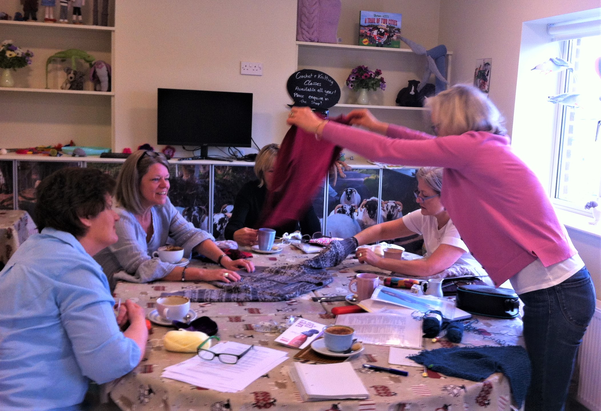 Online knitting classes live by Zoom — The Knitting Class